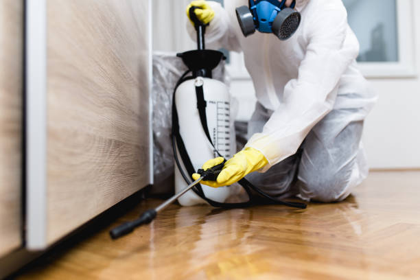 Best Pest Control for Businesses  in Berry Creek, CA