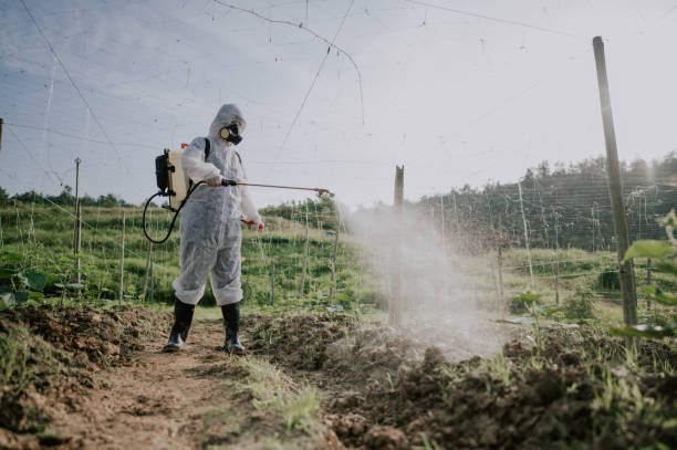 Best Best Pest Control Companies  in Berry Creek, CA