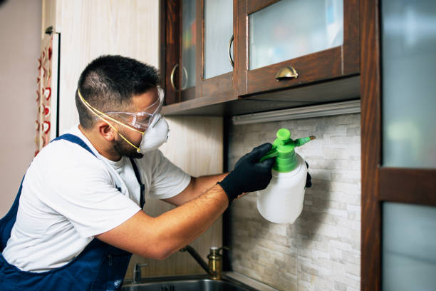 Best Emergency Pest Control  in Berry Creek, CA