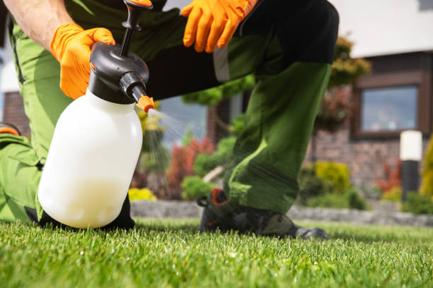 Best Bird Control  in Berry Creek, CA