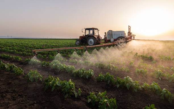 Best Pest Prevention Services  in Berry Creek, CA