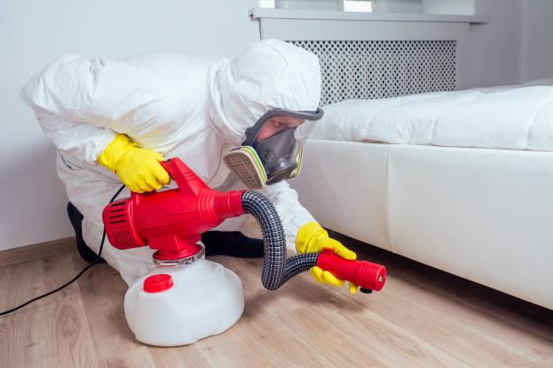 Best Flea Control Services  in Berry Creek, CA