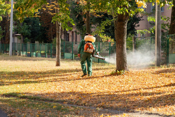 Best Wildlife Control Services  in Berry Creek, CA