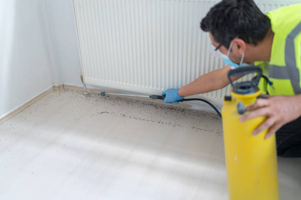 Reliable Berry Creek, CA Pest Control Solutions